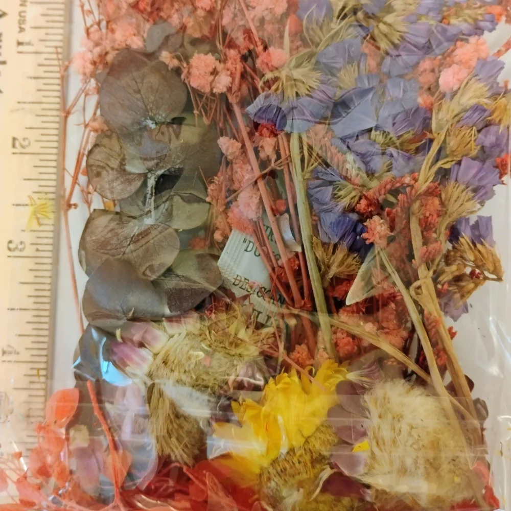 Pressed Dried Flowers Dry Resin Crafts Red Orange Yellow Scrapbooking Wedding